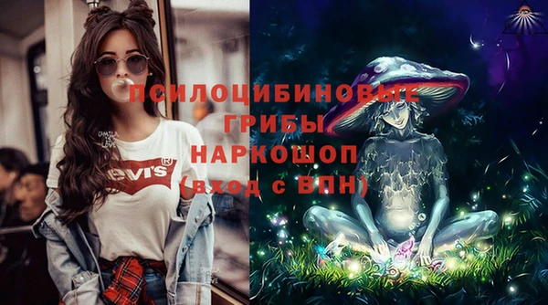 стафф Михайловск