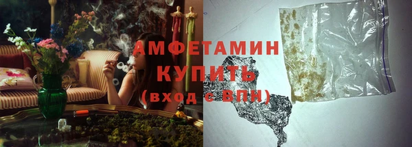 стафф Михайловск