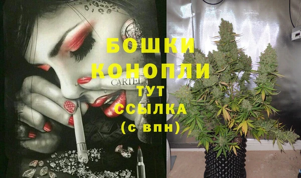 стафф Михайловск