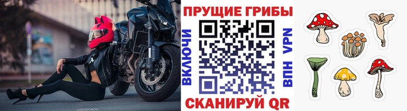 купить   Закаменск  Галлюциногенные грибы ЛСД 
