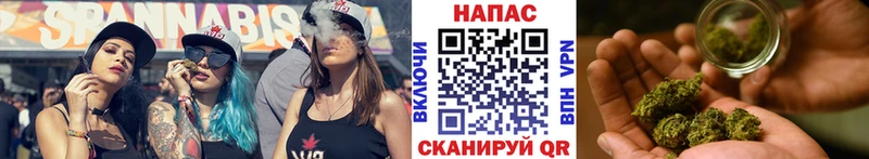 Шишки марихуана сатива  Закаменск 